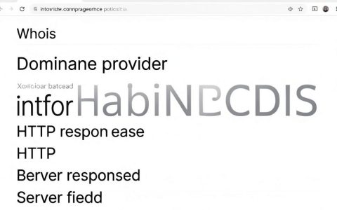 网站cdn提供商查询，网站cdn服务商有哪些