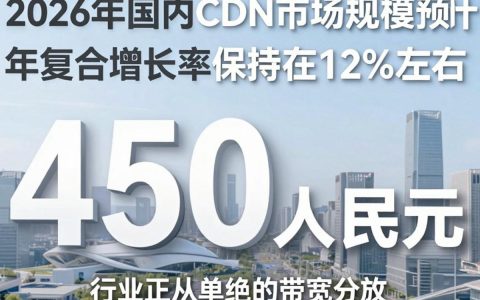 国内cdn市场规模多大，国内cdn市场规模