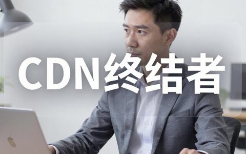 cdn终结者下载不了怎么办，cdn终结者下载