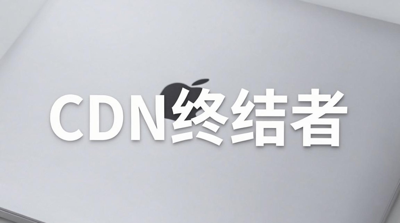 cdn终结者下载 cdn终结者下载