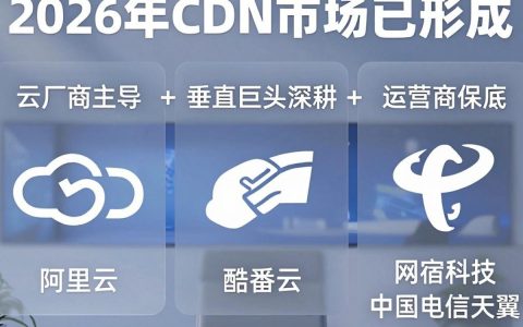 cdn有那些公司，国内cdn加速服务商有哪些