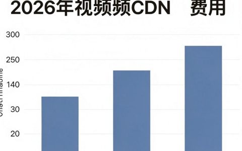 视频cdn费用是多少，视频cdn费用