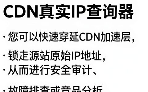 CDN真实IP查询器怎么用？CDN真实IP查询