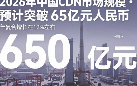 中国cdn市场规模多大，中国cdn市场规模