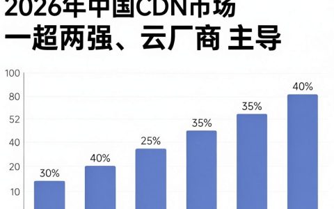 cdn市场占比多少？cdn市场份额排名及行业趋势详解