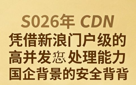 {sina cdn}是什么，{sina cdn}是什么意思