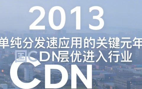 2013年CDN市场现状如何，CDN市场趋势分析