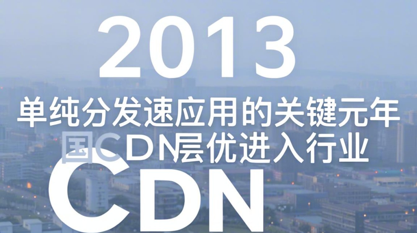 2013 cdn 市场 2013 cdn 市场