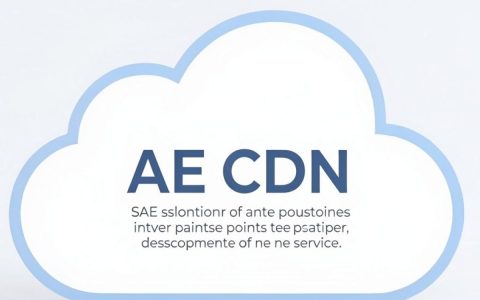 什么是SAE CDN？如何利用CDN加速提升网站访问速度？