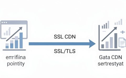 ssl cdn