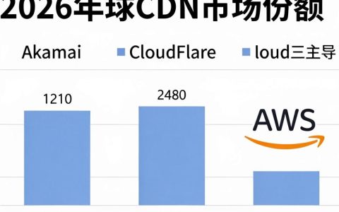 CDN市场份额是多少？，2024年CDN市场份额排名如何？