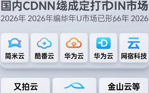 国内cdn厂商有哪些，国内cdn厂商哪家性价比高