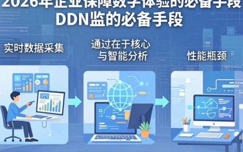 CDN监测对网站性能有何影响？，cdn监测工具推荐哪个好