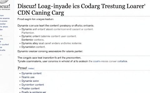 cdn缓存dz怎么设置，cdn缓存dz怎么优化