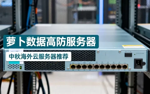 中秋海外云服务器怎么选？萝卜数据高防服务器多少钱