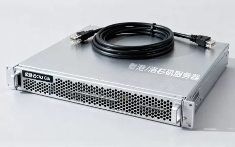 欧路云CN2 GIA高防服务器好用吗，香港洛杉矶服务器租用价格