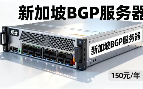 炭云新加坡BGP服务器150元/年怎么样？新加坡BGP服务器租用推荐