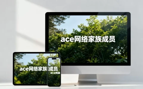 ace网络家族是什么？ace网络家族成员有哪些