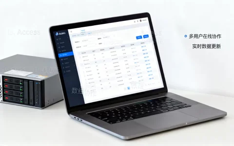 Access有网络版吗？Access数据库多用户同时在线使用