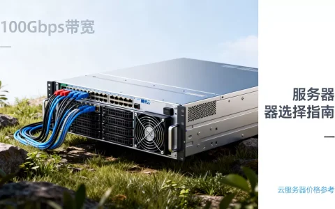 腾讯云100Gbps带宽服务器怎么选？腾讯云100Gbps带宽云服务器价格