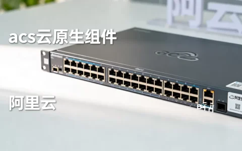 acs云原生组件是什么？阿里云acs云原生组件有哪些