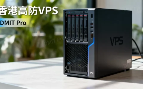 DMIT香港Pro VPS值得购买吗？香港高防VPS推荐
