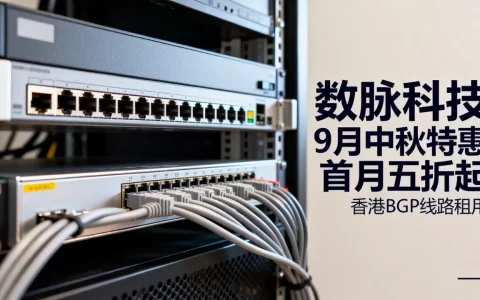 数脉科技9月中秋特惠首月五折起？香港BGP线路租用多少钱