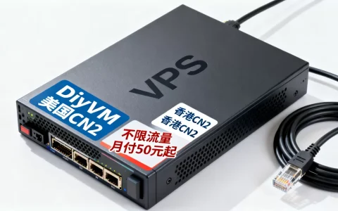DiyVM美国CN2香港CN2不限流量VPS月付50元起值得买吗，VPS哪家好便宜稳定？