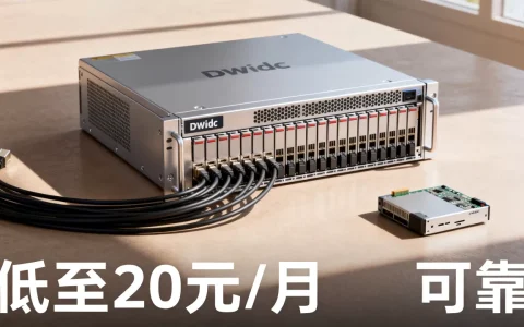 dwidc服务器低至20元/月是真的吗？dwidc服务器可靠吗