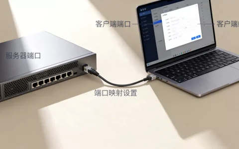 服务器端口与客户端端口区别是什么，端口映射怎么设置