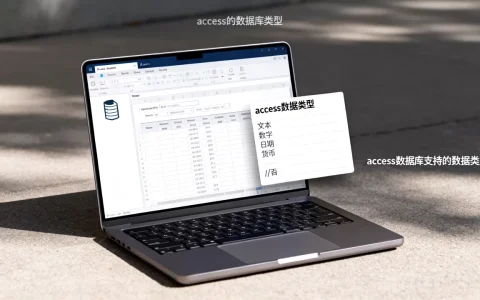 access的数据库类型是什么？access数据库支持哪些数据类型
