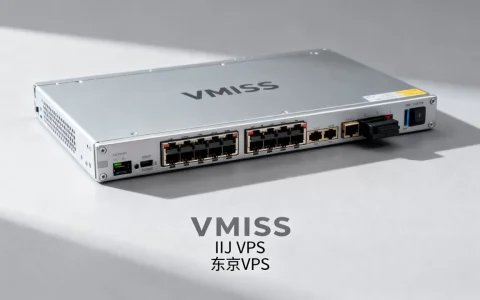 VMISS日本IIJ VPS性能如何？东京VPS推荐