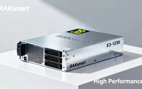 RAKsmart双11E3-1230仅30美金值得买吗，RAKsmart云服务器哪个配置性价比高