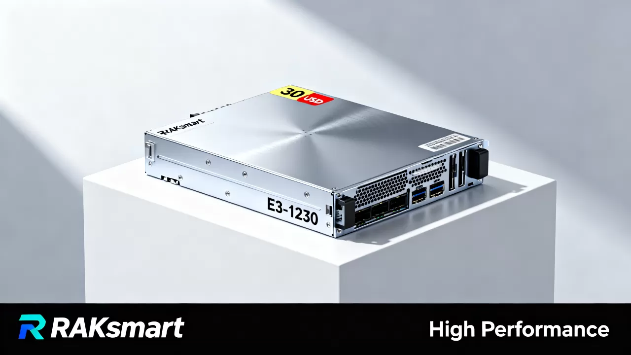 RAKsmart双11E3-1230仅30美金值得买吗,RAKsmart云服务器哪个配置性价比高 RAKsmart双11E3-1230仅30美金值得买吗,RAKsmart云服务器哪个配置性价比高