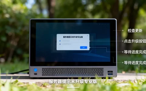服务器提示未升级专业版怎么办？如何免费升级到专业版