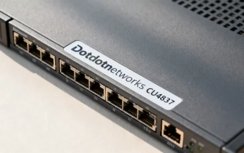 Dotdotnetworks洛杉矶CU4837回国线路VPS值得买吗？美国回国线路哪家强