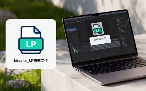 什么是binaries_LP格式文件？binaries_lp格式文件怎么打开