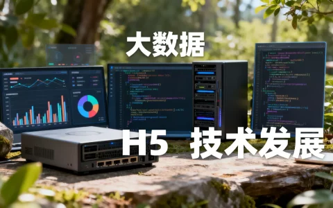 H5大数据这几年怎么了？H5大数据技术发展趋势