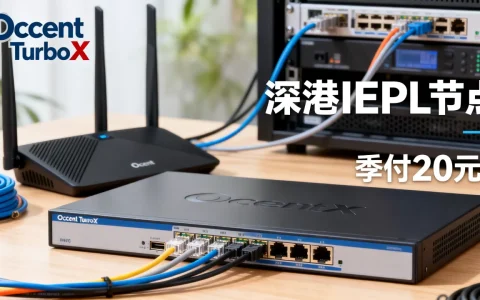 Ocent TurboX流量转发靠谱吗，深港IEPL节点季付20元