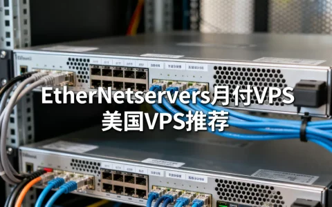 EtherNetservers月付VPS真的便宜吗？美国VPS推荐哪家稳定