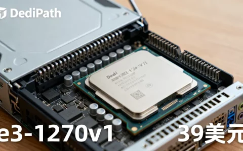 DediPath双11e3-1270v1服务器低至39美元怎么选？
