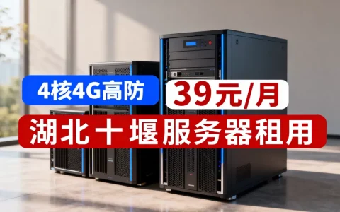 江苏安全云4核4G高防39元/月，湖北十堰服务器租用多少钱