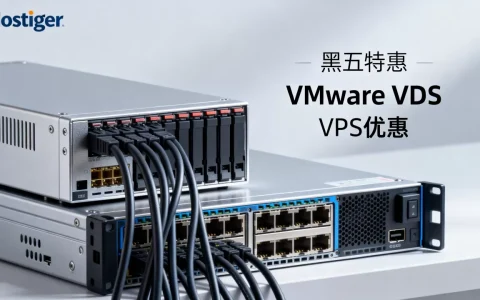 Hostiger黑五VMware VDS特价多少？黑五VPS优惠力度多大