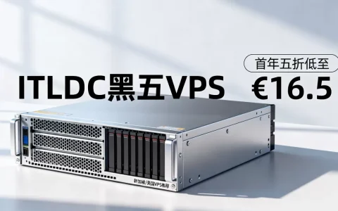 ITLDC黑五VPS首年五折低至€16.5值得买吗，新加坡美国VPS推荐