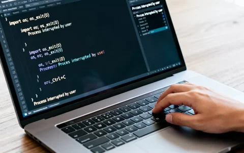 Python程序如何停止运行？python中断进程的方法
