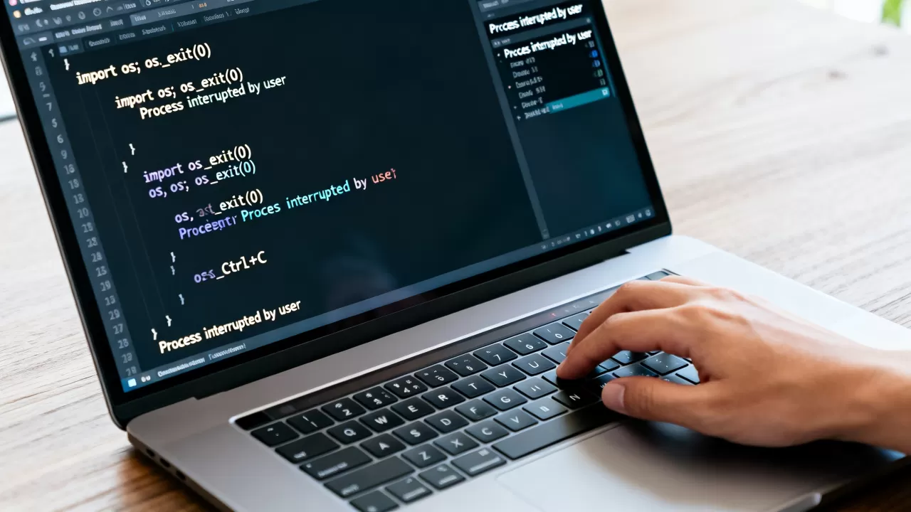 Python程序如何停止运行?python中断进程的方法 Python程序如何停止运行?python中断进程的方法