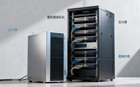 服务器虚拟化与云计算的区别是什么？云计算服务器租用价格