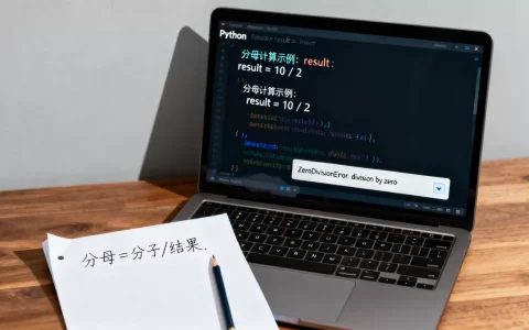 python分母怎么算？python分母为0报错怎么处理