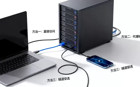 服务器如何访问客户端？服务器访问客户端的几种方法