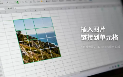Excel怎么链接图片？excel插入图片并链接到单元格